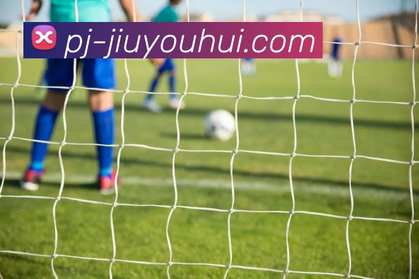 J9九游会官网平台生态图