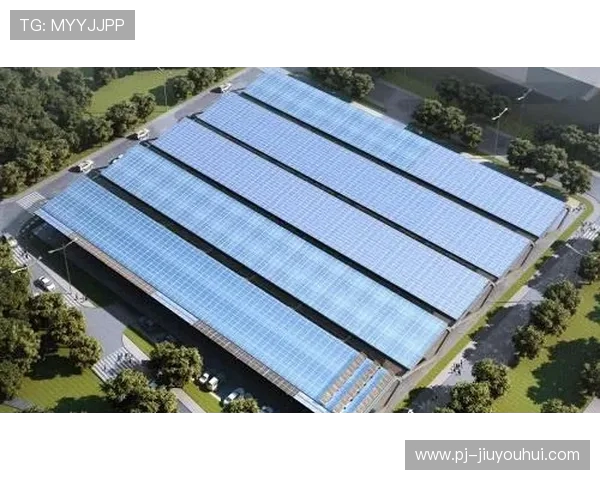 2025年寻甸足球发展新机遇探索与未来潜力分析